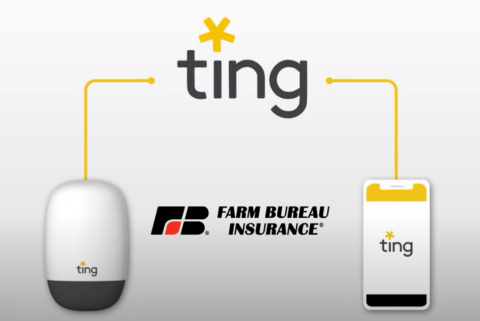 Ting Software